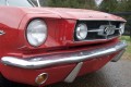 Florida Mustang Inspection and Appraisal